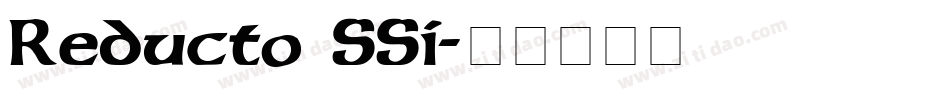 Reducto SSi字体转换